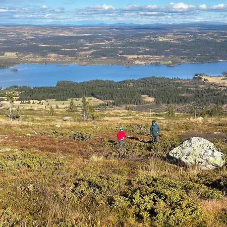 Pa Bualie, Golsfjellet Leilighet *