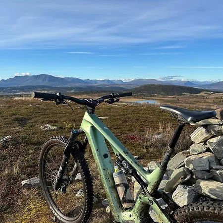 Pa Bualie, Golsfjellet *