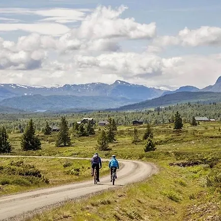 Pa Bualie, Golsfjellet Gol