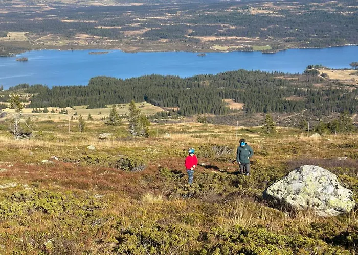 Pa Bualie, Golsfjellet 公寓 *